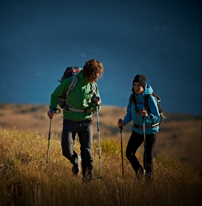 trekking pole