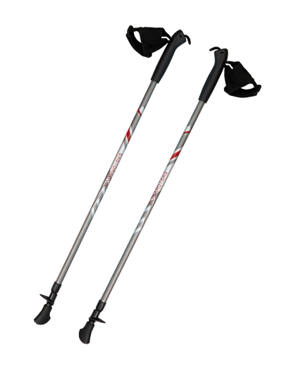 Twist Lock Aluminum Walking Pole