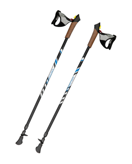 2-section Inner Anti-shock Walking Pole