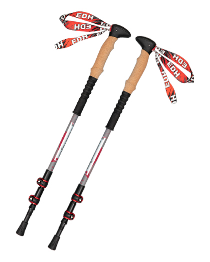 The Different Types Of Ski Sticks