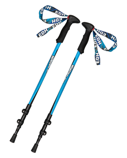 Black EVA Grip 3-section Trekking Pole