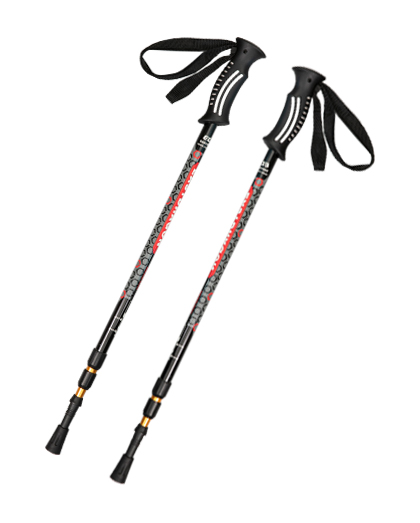 EDS41-3 Twist lock trekking pole