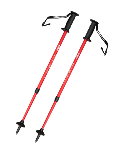 EDS42 Custom Cross Country Ski Pole