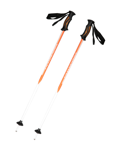 EDS09 Rubber Handle Carbon Fiber Ski Pole