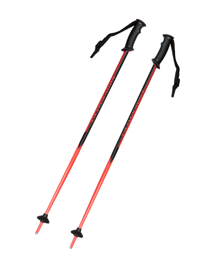 What material is good for ski poles