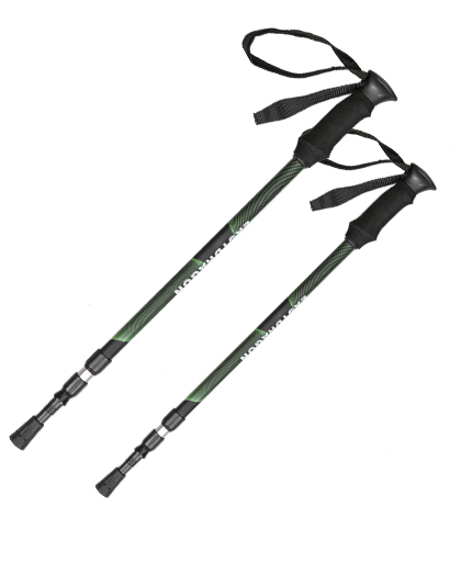 Choosing ski equipment and the role of ski poles